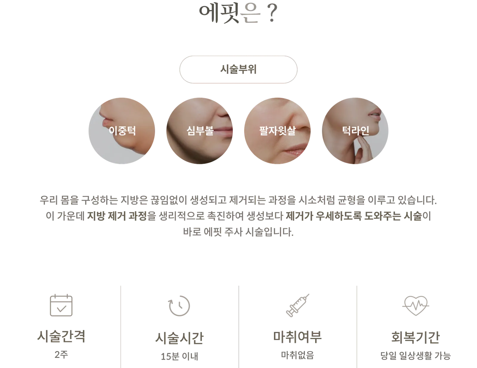 에핏 시술 정보 패널: 시술부위 이중턱, 심부볼, 팔자윗살, 턱라인, 지방 제거 과정을 생리적으로 촉진하는 주사, 시술간격 2주, 시술시간 15분 이내, 마취 없음, 당일 일상생활 가능