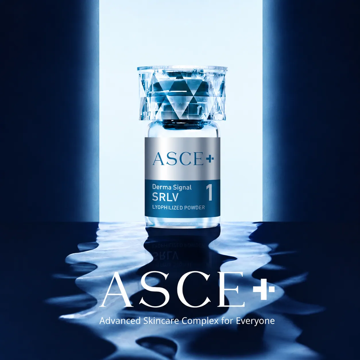 ASCE+ SRLV 제품