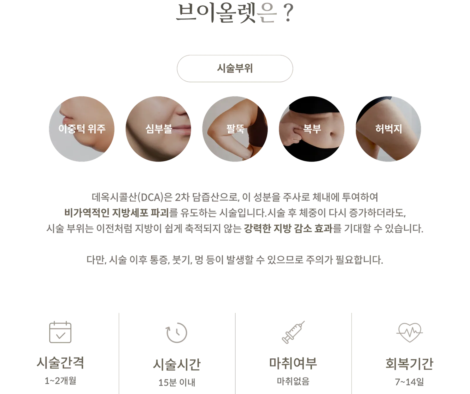 브이올렛 시술 정보 패널: 시술부위 이중턱 위주, 심부볼, 팔뚝, 복부, 허벅지, 데옥시콜산(DCA) 성분 설명, 시술간격 1~2개월, 시술시간 15분 이내, 마취없음, 회복기간 7~14일