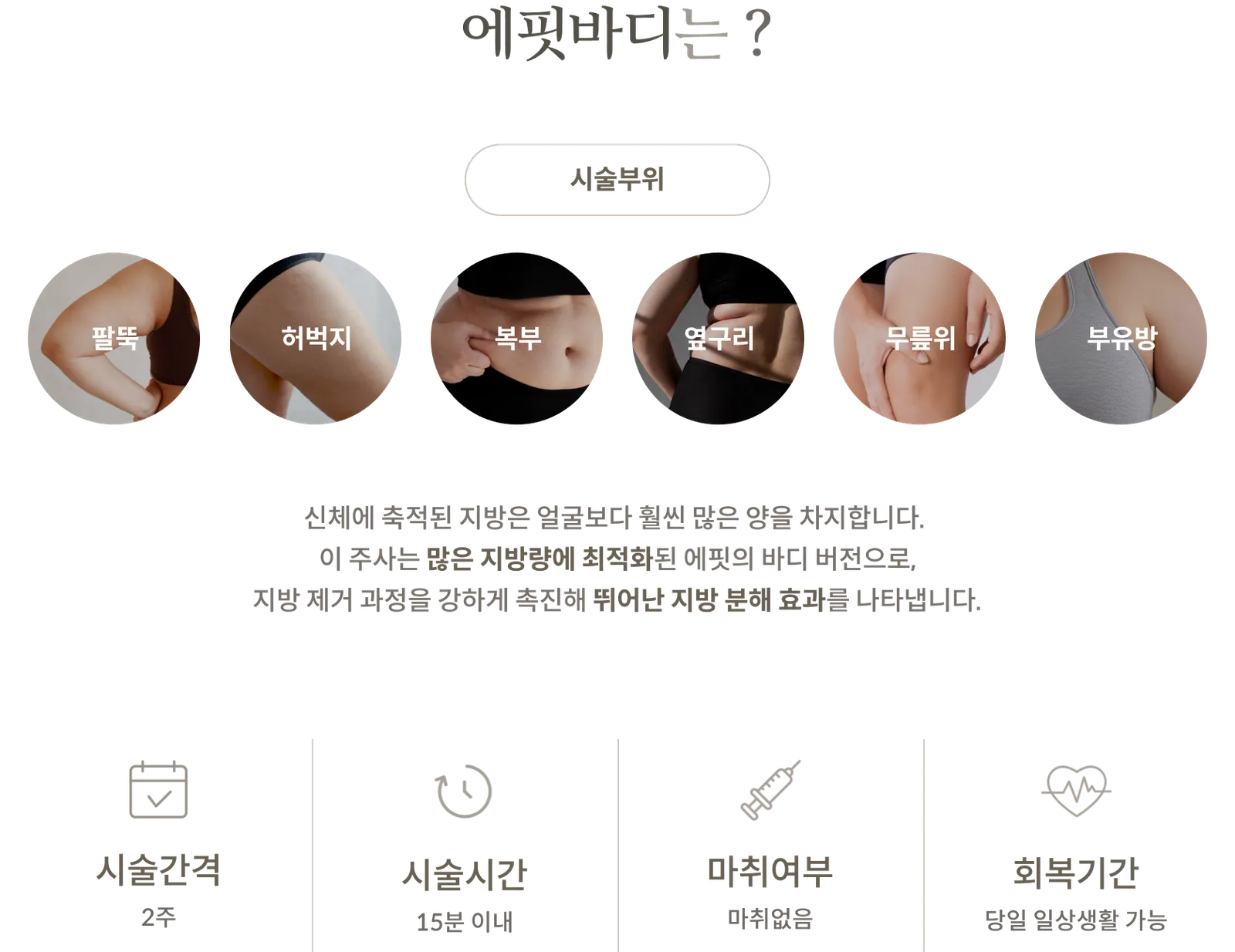 에핏바디 시술 정보 패널: 시술부위 팔뚝, 허벅지, 복부, 옆구리, 무릎위, 부유방, 많은 지방량에 맞춘 에핏의 바디 버전, 시술간격 2주, 시술시간 15분 이내, 마취 없음, 당일 일상생활 가능