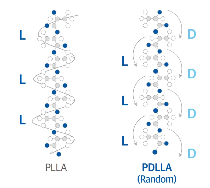 PDLLA 입자 구조